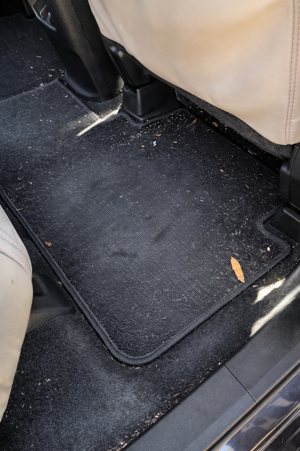 Floor mat before detailing