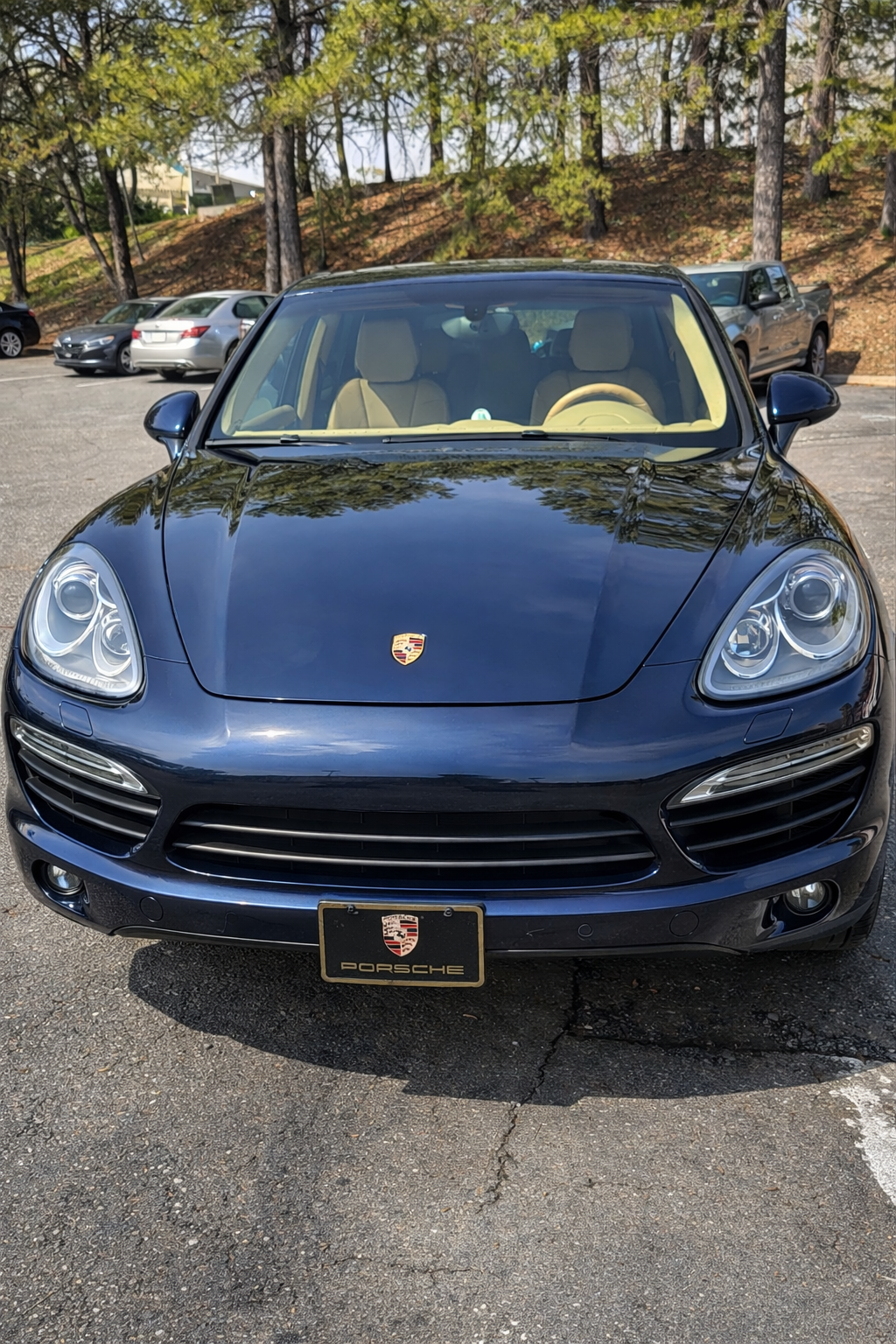 Professional Detailing - Porsche Cayenne